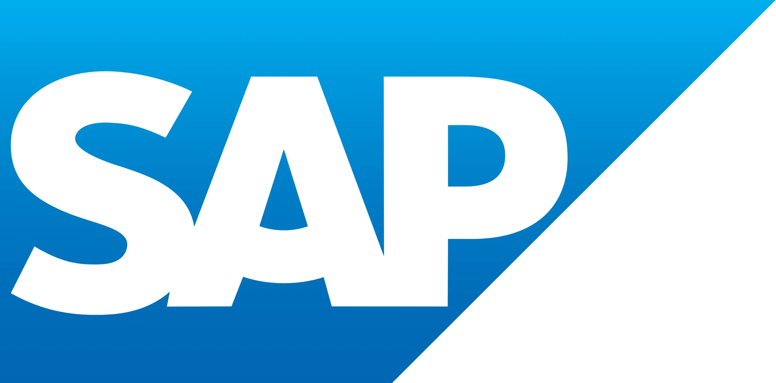 We build capabilities to sustain and continually improve on small and large SAP investments to drive real returns.